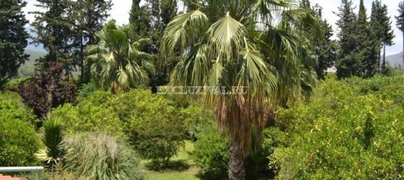 Villa 2+1 à Kemer, Turkey No. 28360 11