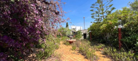 2 chambres Villa à Bari, Italy No. 214262 16