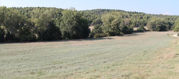 13500m² Hotel in Chalkidiki, Greece No. 8101 4