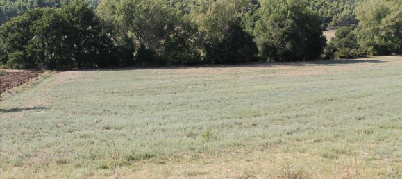 13500m² Hotel in Chalkidiki, Greece No. 8101 3