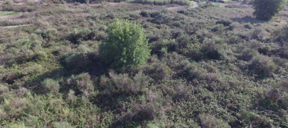 Terreno en Lipari, Italy 16500 m² No. 69020 3