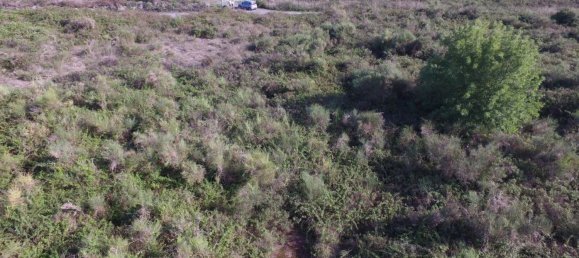 Terreno en Lipari, Italy 16500 m² No. 69020 2