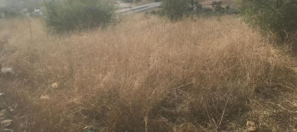 Terrain à El Molar, Spain 13891m² No. 81898 5