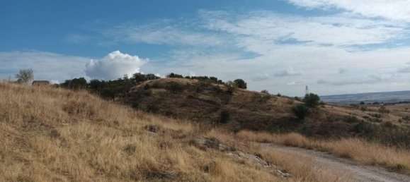 Terrain à El Molar, Spain 13891m² No. 81898 7