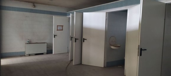 5 rooms Warehouse in Givoletto, Italy No. 163687 12