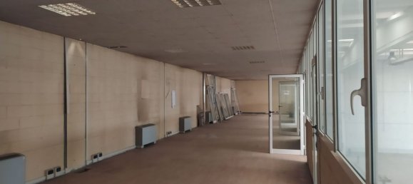 5 rooms Warehouse in Givoletto, Italy No. 163687 7
