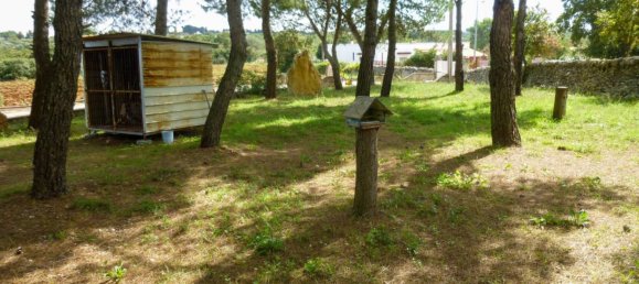 Casa T3 em Martina Franca, Italy N.º 297938 49