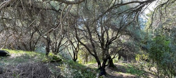 4000m² Hotel in Corfu, Greece No. 6207 9