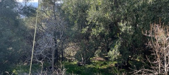 4000m² Hotel in Corfu, Greece No. 6207 7