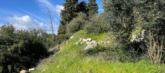 4000m² Hotel in Corfu, Greece No. 6207 11