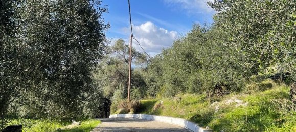 4000m² Hotel in Corfu, Greece No. 6207 4