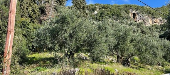 4000m² Hotel in Corfu, Greece No. 6207 13