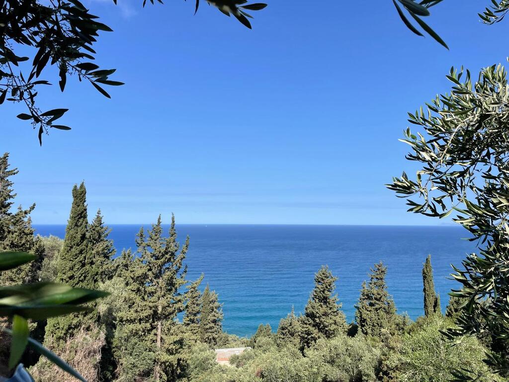 4000m² Hotel in Corfu, Greece No. 6207