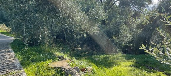 4000m² Hotel in Corfu, Greece No. 6207 12