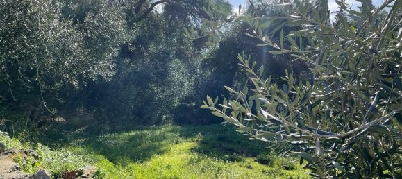 4000m² Hotel in Corfu, Greece No. 6207 10