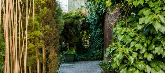 4 غرف نوم تاون هاوس في Schwandorf, Germany رقم 115673 36