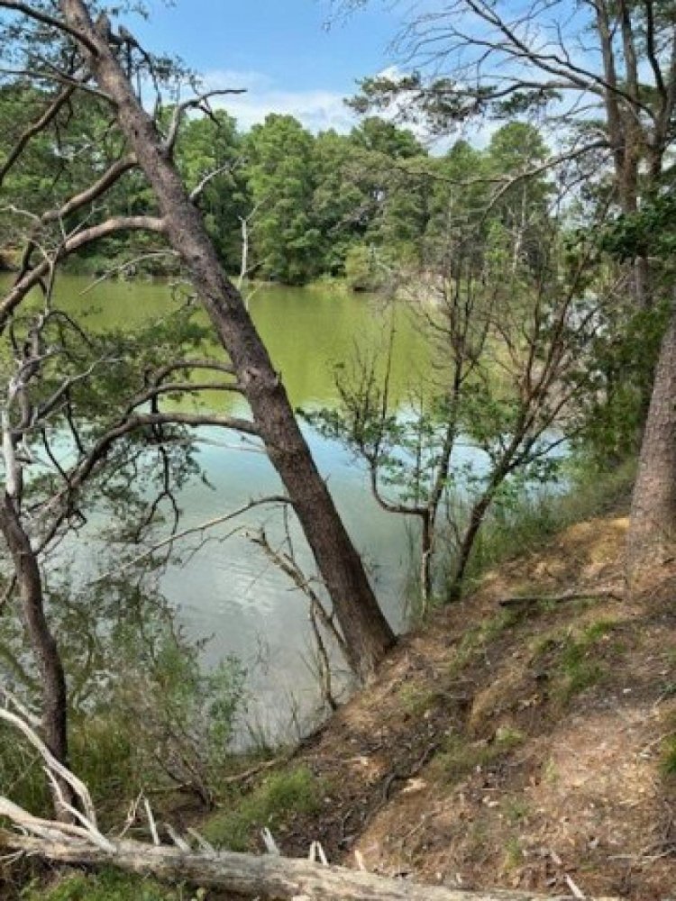  Land in Machipongo, USA No. 473766