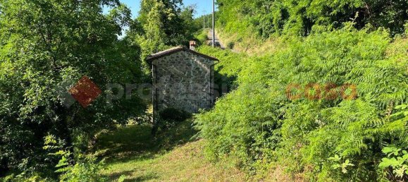 4 غرف نوم منزل في Barga, Italy رقم 234568 6