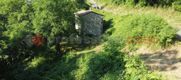 4 غرف نوم منزل في Barga, Italy رقم 234568 9