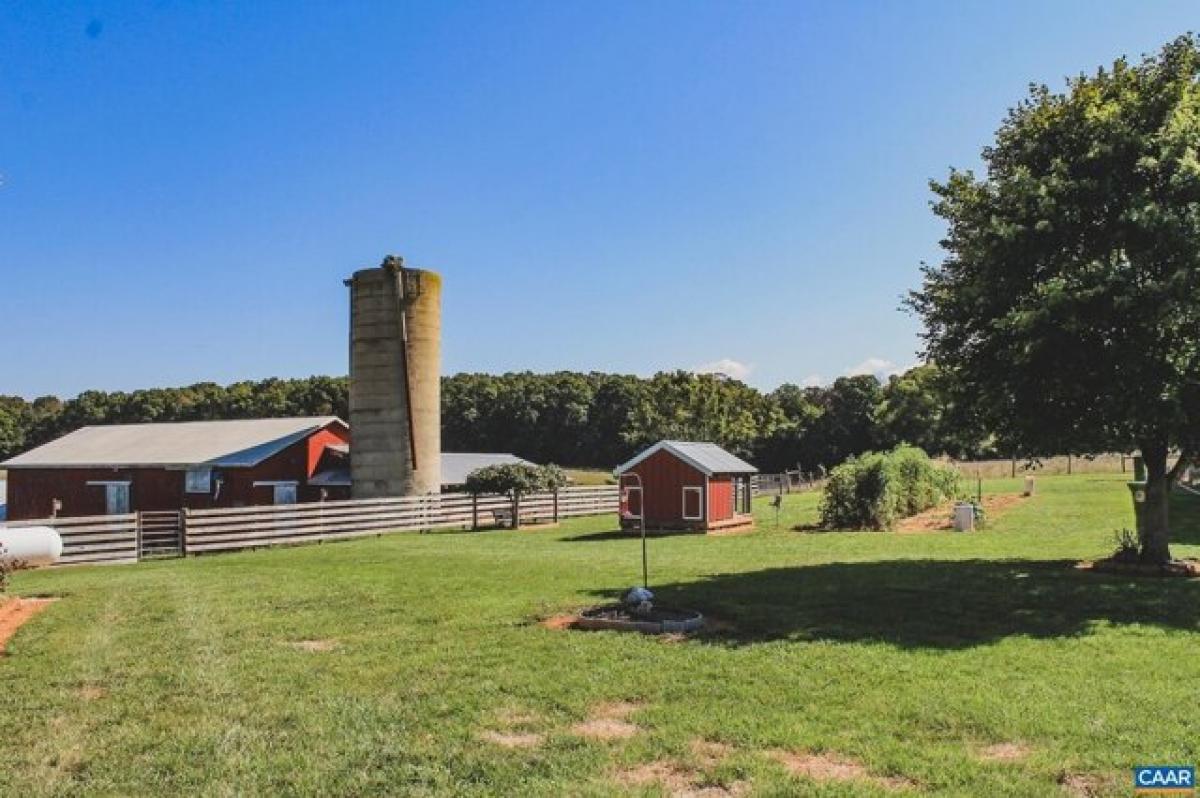  Land in Elkton, USA No. 484277