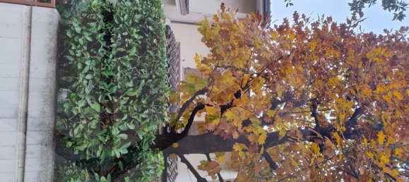 7 rooms House in Carpi, Italy No. 22058 8