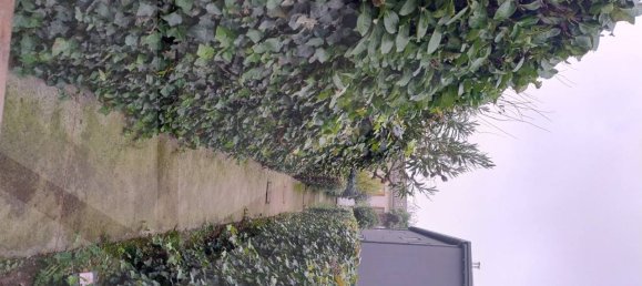 7 rooms House in Carpi, Italy No. 22058 13