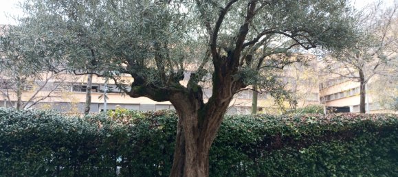 2 chambres Appartement à Girona, Spain No. 171620 22