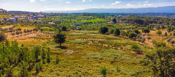  Land in Alcafache, Portugal No. 68492 3