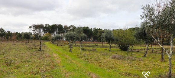  Land in Alcafache, Portugal No. 68492 14