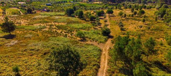  Land in Alcafache, Portugal No. 68492 6