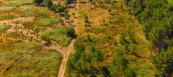  Land in Alcafache, Portugal No. 68492 7