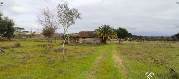  Land in Alcafache, Portugal No. 68492 13