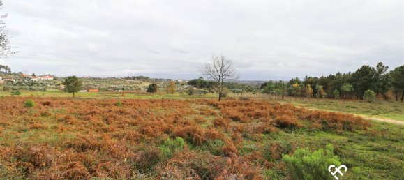  Land in Alcafache, Portugal No. 68492 9