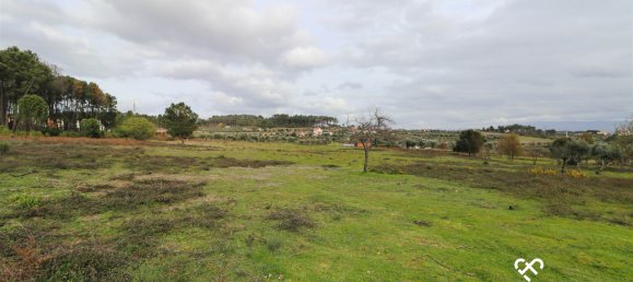  Land in Alcafache, Portugal No. 68492 11