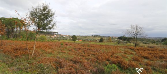  Land in Alcafache, Portugal No. 68492 10