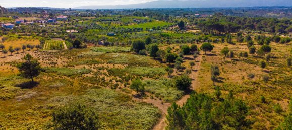  Land in Alcafache, Portugal No. 68492 5