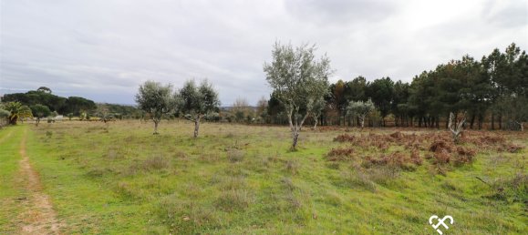  Land in Alcafache, Portugal No. 68492 12