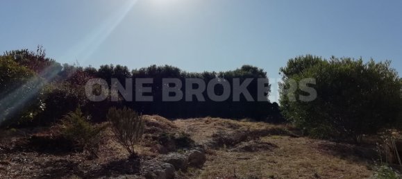 4 Schlafzimmer Haus in Sintra, Portugal, Nr. 163983 32