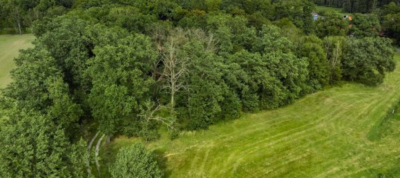 Дом с 10 комнатами в Celle, Германия № 277744 22