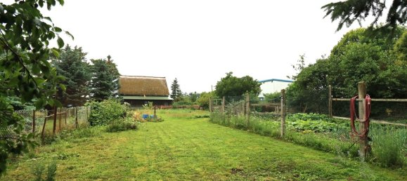 Ферма с 3 комнатами в Demmin, Германия № 229090 27