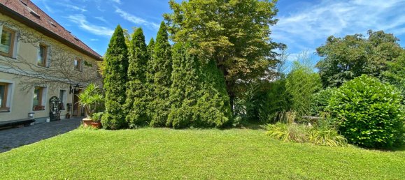 597m² Building in Wels, Austria No. 133170 4