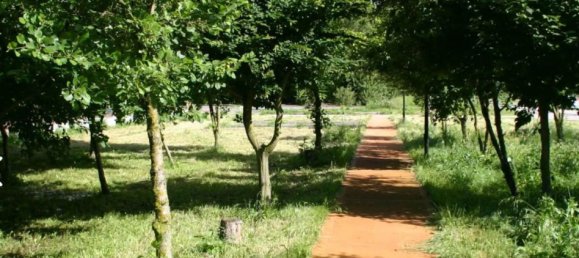 6936m² Commercial property in Roncaro, Italy No. 315021 48