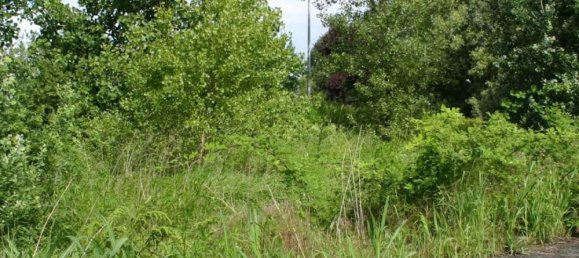 6936m² Commercial property in Roncaro, Italy No. 315021 39