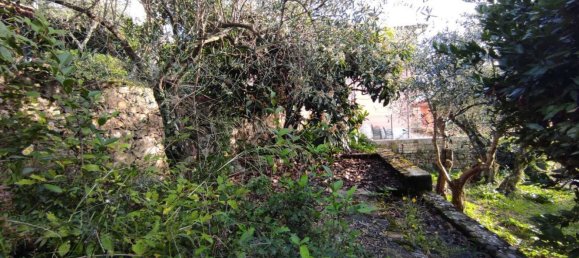 3-salle Appartement à Lerici, Italy No. 139782 2