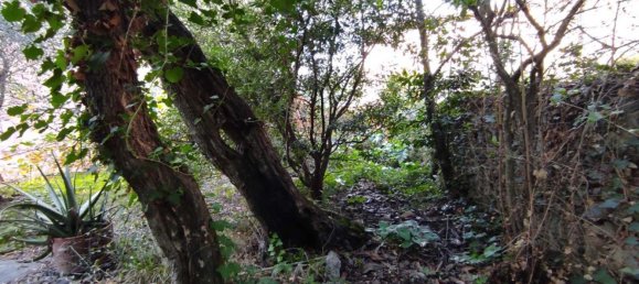 3-salle Appartement à Lerici, Italy No. 139782 4