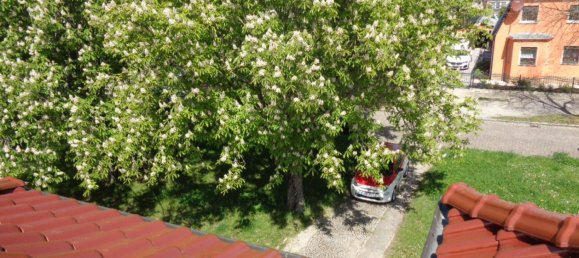 3 غرف نوم تاون هاوس في Burgenlandkreis, Germany رقم 330610 13