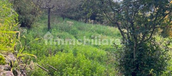 Apartamento T2 em Tuscania, Italy N.º 205235 44