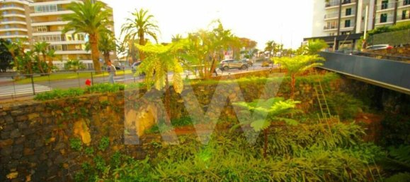 Gewerbliche Immobilie in Funchal, Portugal 77m², Nr. 84243 40