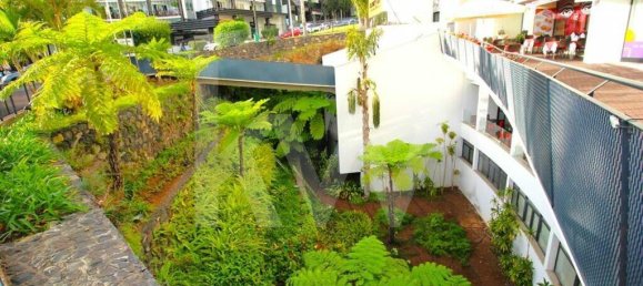 Gewerbliche Immobilie in Funchal, Portugal 77m², Nr. 84243 39