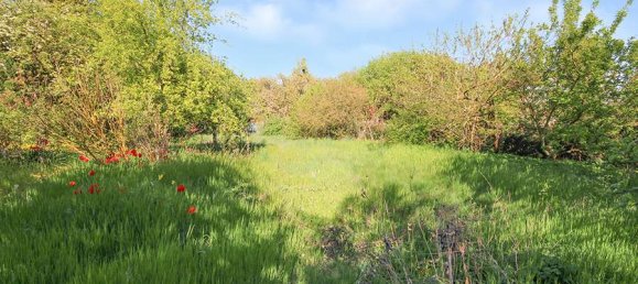 3 Schlafzimmer Stadthaus in Börde, Germany, Nr. 272427 8